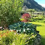 Schneiterhof - Der Frei-raum Apartment *