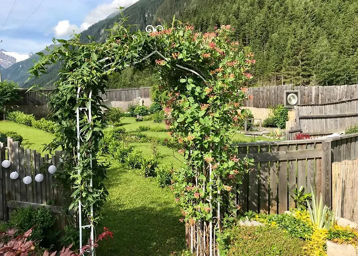 Schneiterhof - Der Frei-raum *