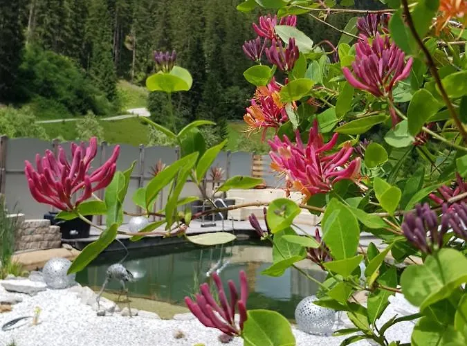 Schneiterhof - Der Frei-raum * Neustift im Stubaital