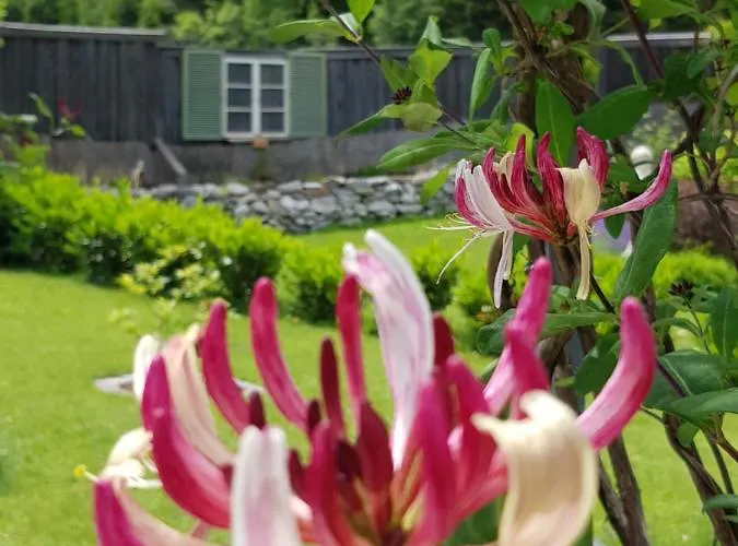 Appartamento Schneiterhof - Der Frei-raum *