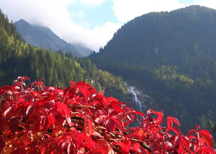 Schneiterhof - Der Frei-raum * Neustift im Stubaital
