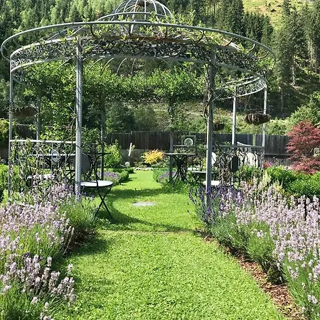 公寓 西纳特自由空间公寓 *