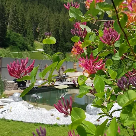 西纳特自由空间公寓 * 施图拜河谷新施蒂夫特