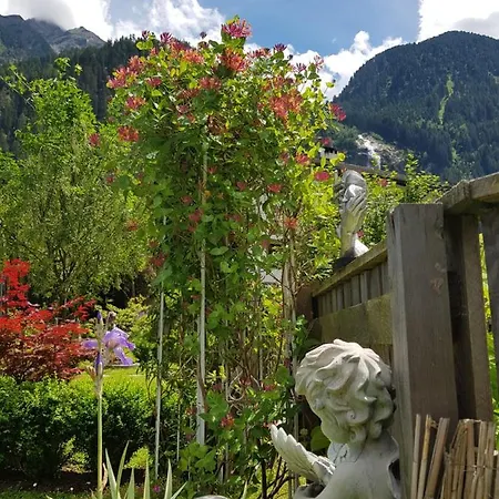 西纳特自由空间公寓 施图拜河谷新施蒂夫特