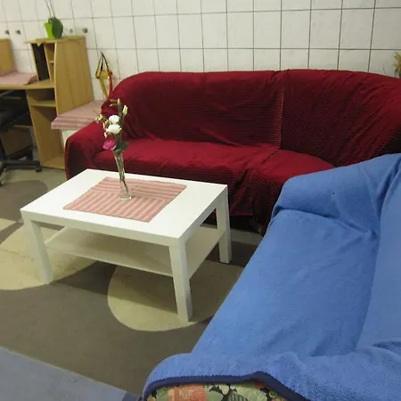 公寓 西纳特自由空间公寓 *